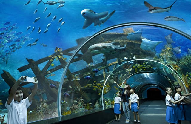 Ailand Oceanarium — photo 3