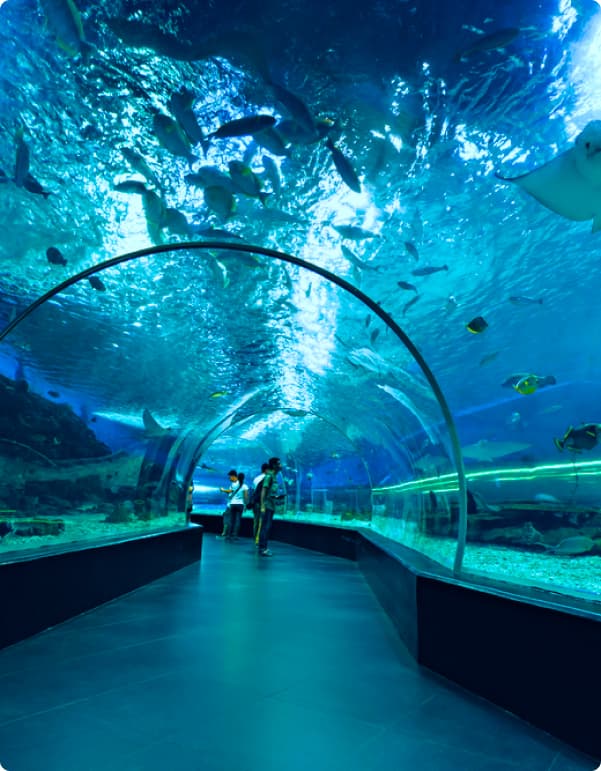 Ailand Oceanarium — photo 13