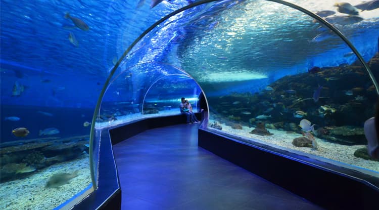 Ailand Oceanarium — photo 7