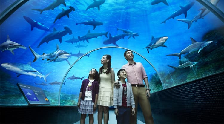 Ailand Oceanarium — photo 8