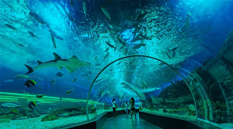 Ailand Oceanarium — photo 9